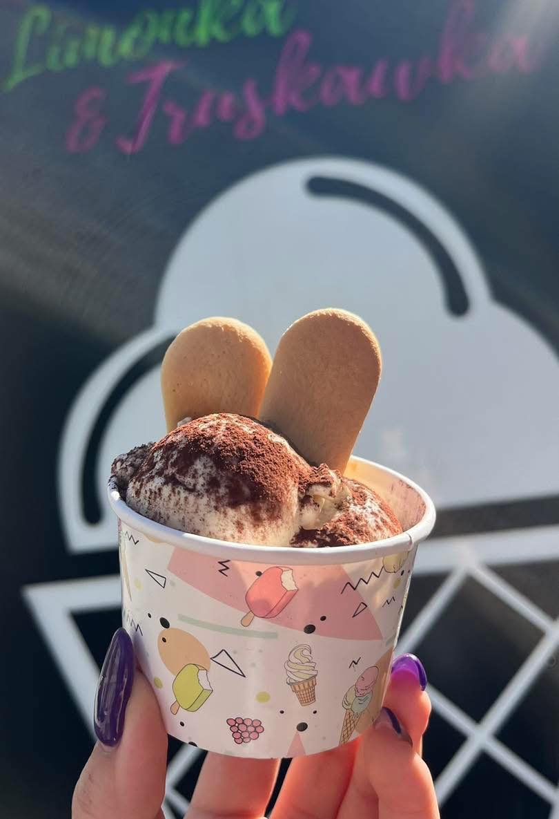 Lody rzemieślnicze Tiramisu Kielce